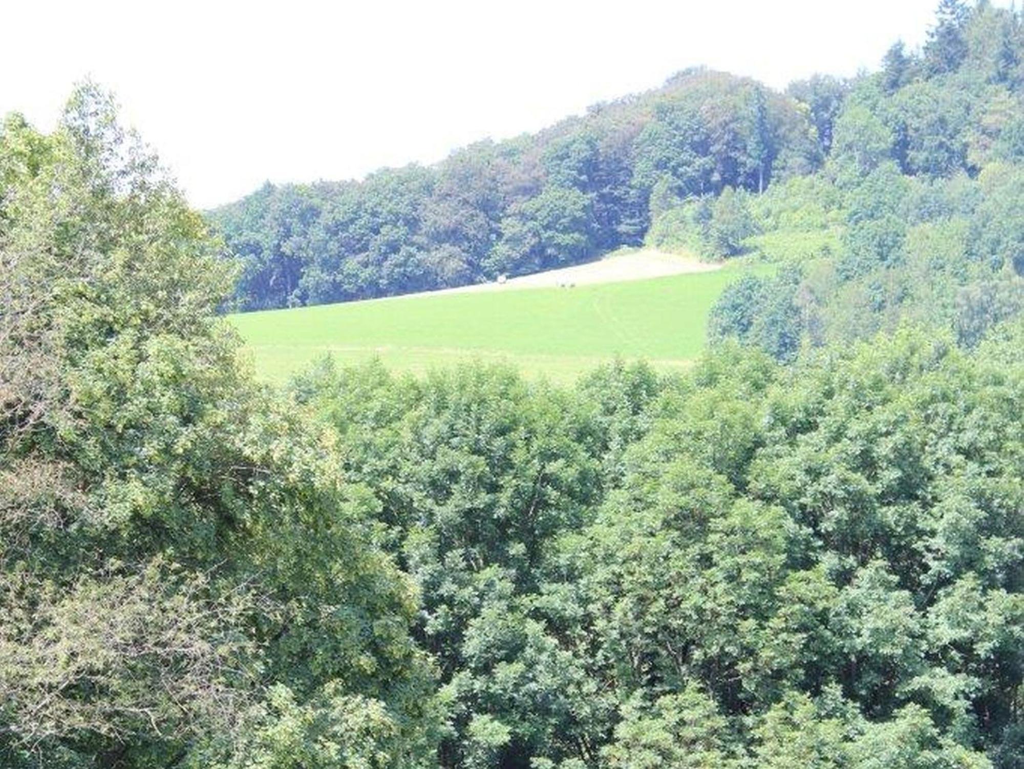 Ferienwohnung Rimbach Exteriör bild
